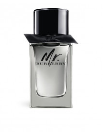 Burberry Mr. Burberry 100 ml EDT MAN TESTER