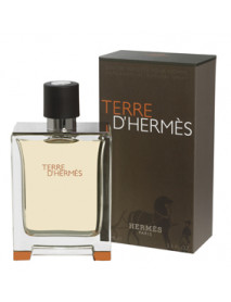 Hermes Terre D'Hermes 50 ml EDT MAN