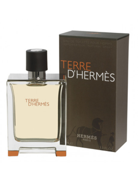 Hermes Terre D'Hermes 50 ml EDT MAN