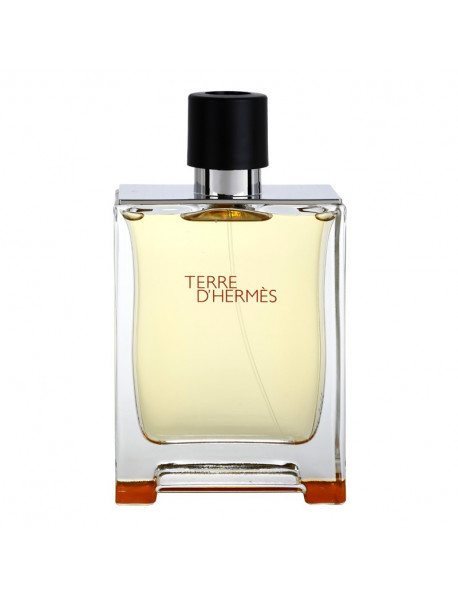 Hermes Terre D'Hermes 100 ml EDT MAN TESTER Hermes Terre D'Hermes 100 ml EDT MAN TESTER